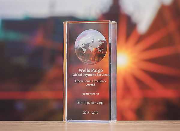 Wells Fargo Operational Excellence Award 2018-2019