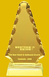The Best Agent in Outbound Growth Award