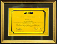 Certificate of Appreciation for The Best Agent in Outbound Growth